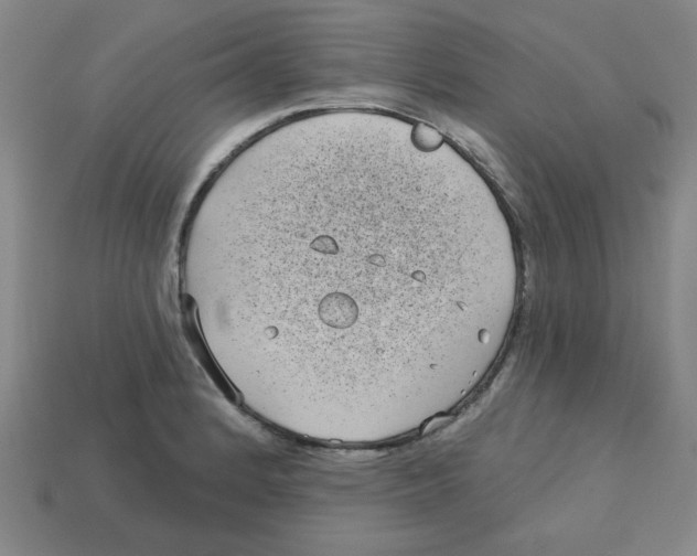 X0000113161184200910021455