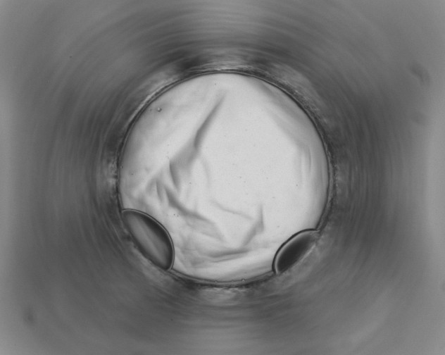 X0000113161185200910021455