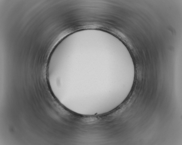 X0000113161186200910021455