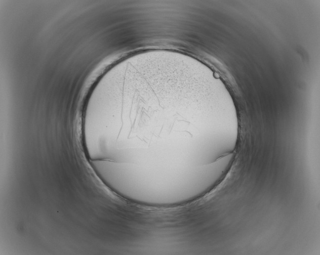 X0000113161188200910021455