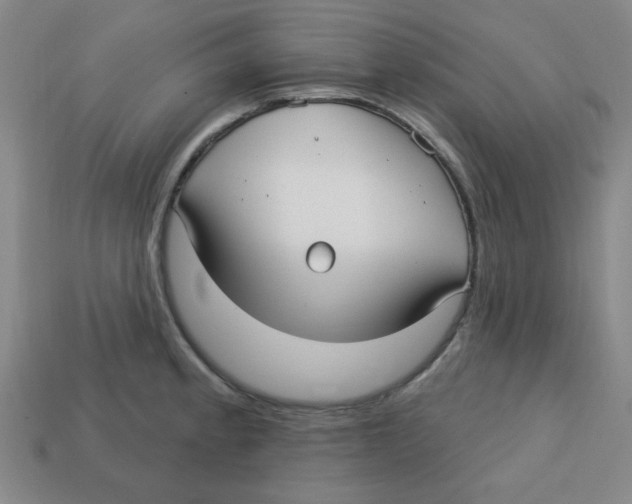 X0000113161189200910021455