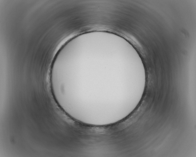 X0000113161190200910021455