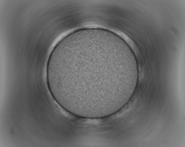 X0000113161191200910021455