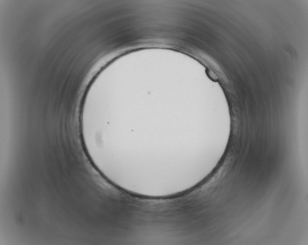 X0000113161192200910021455