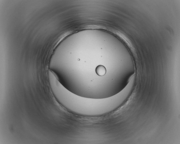 X0000113161193200910021455