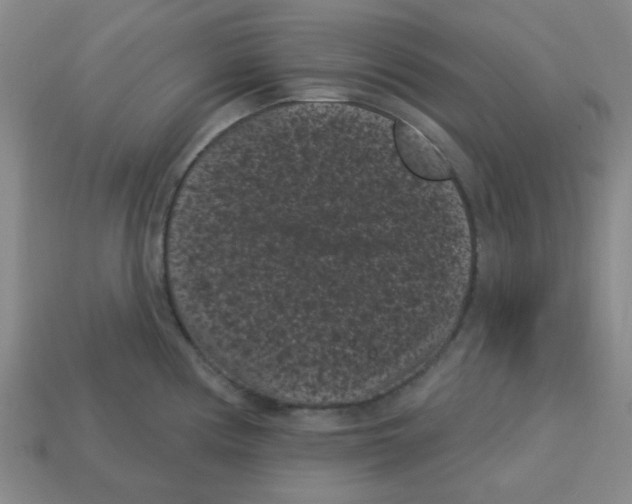 X0000113161194200910021454