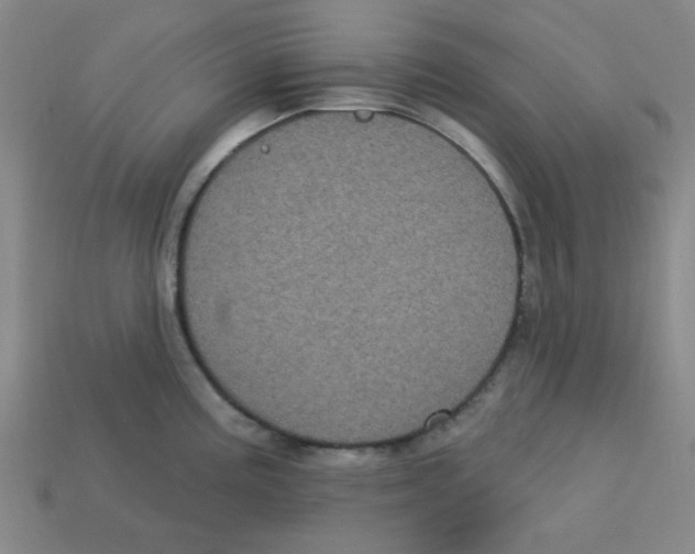 X0000113161195200910021454