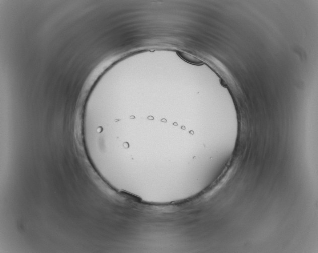 X0000113161196200910021454