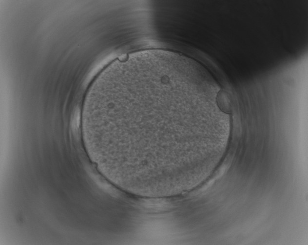 X0000113161198200910021454