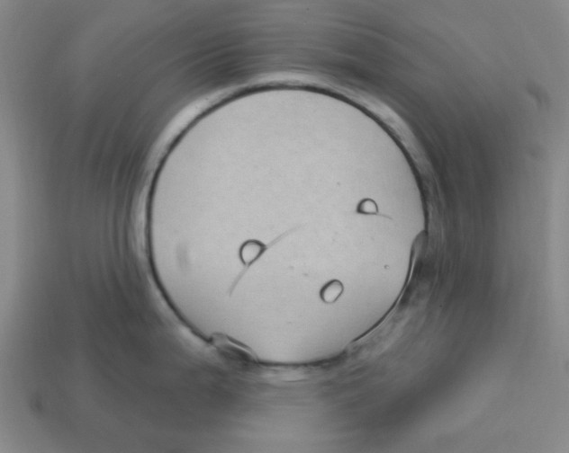 X0000113161199200910021454