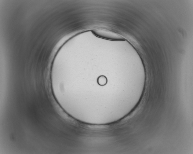 X0000113161200200910021454