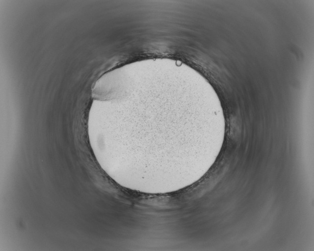 X0000113161201200910021454