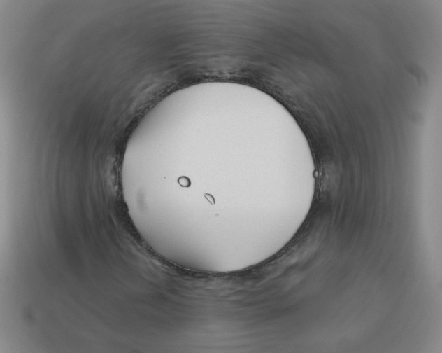 X0000113161202200910021454