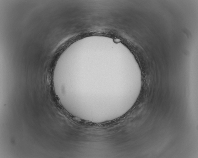 X0000113161206200910021454