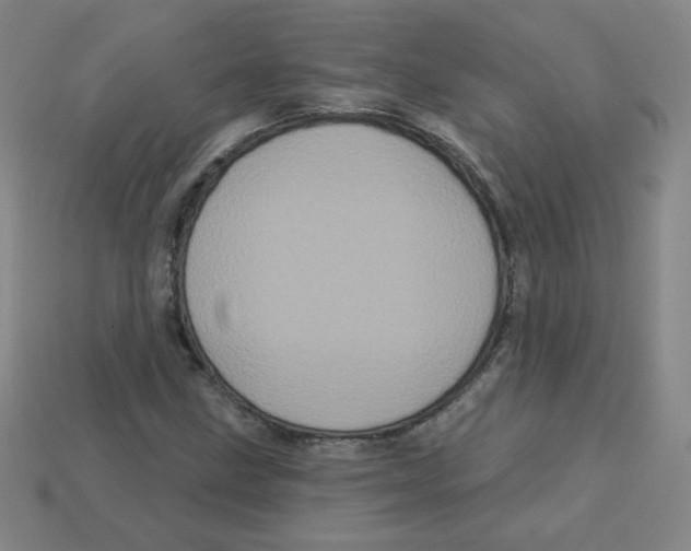 X0000113161211200910021454