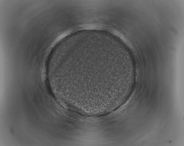 X0000113161213200910021454