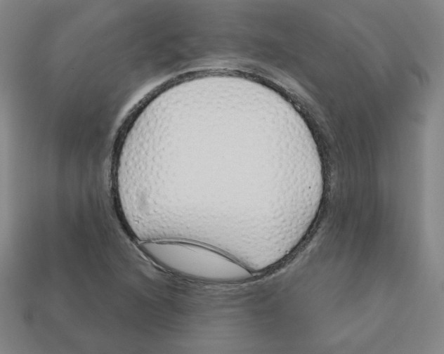 X0000113161216200910021454