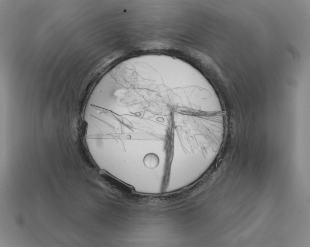 X0000113161217200910021454