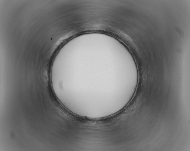 X0000113161218200910021454