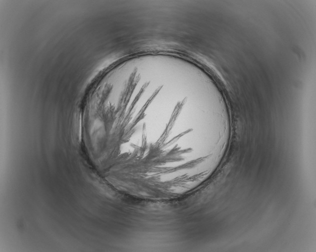 X0000113161219200910021454