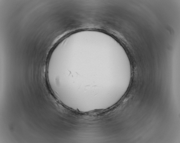 X0000113161220200910021454