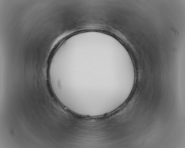 X0000113161222200910021454