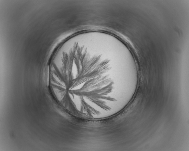 X0000113161223200910021454