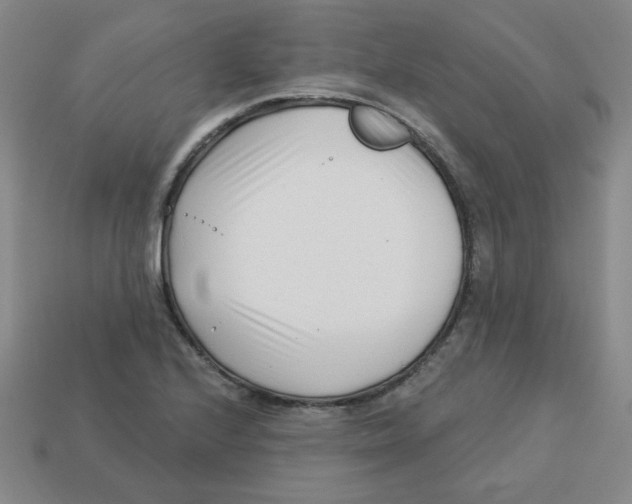 X0000113161224200910021454