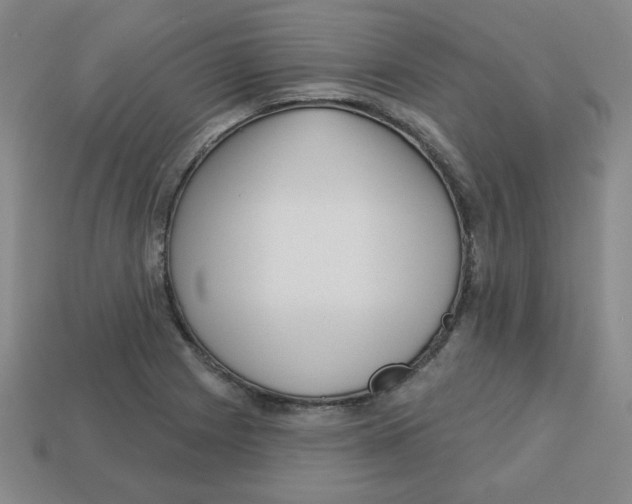 X0000113161225200910021454