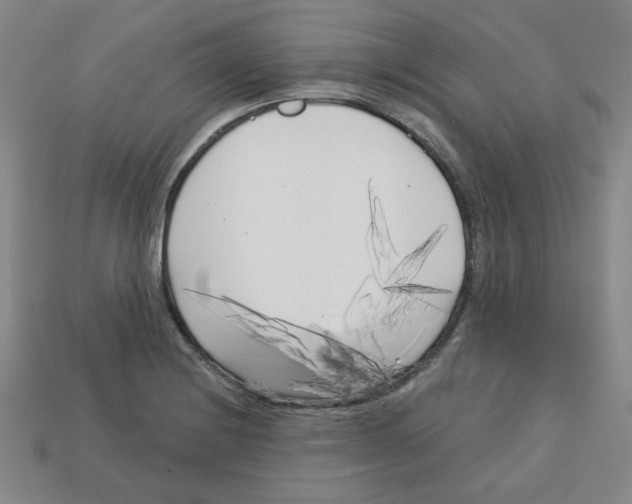 X0000113161228200910021454