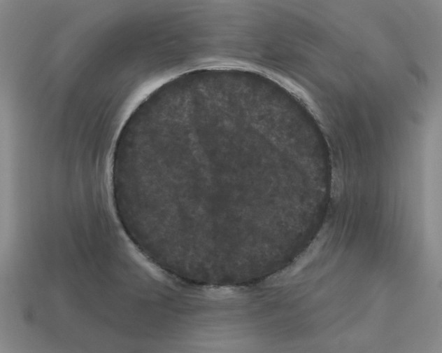 X0000113161231200910021454