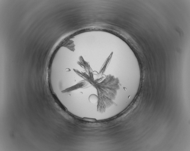 X0000113161232200910021454