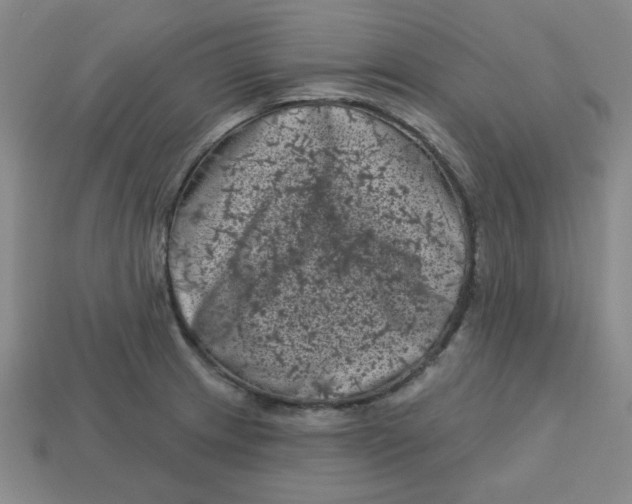 X0000113161233200910021454