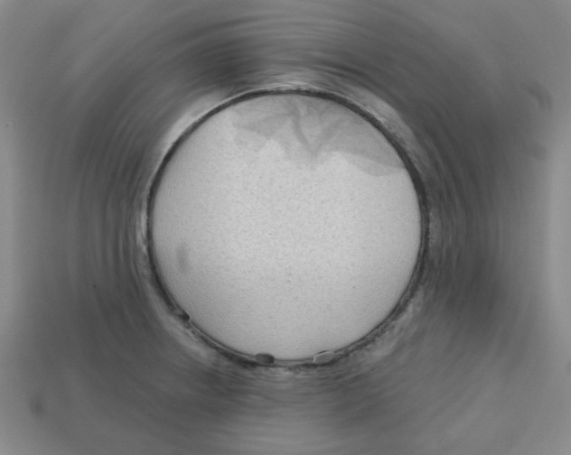 X0000113161234200910021454