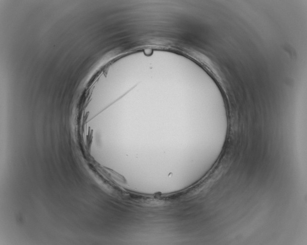 X0000113161235200910021454