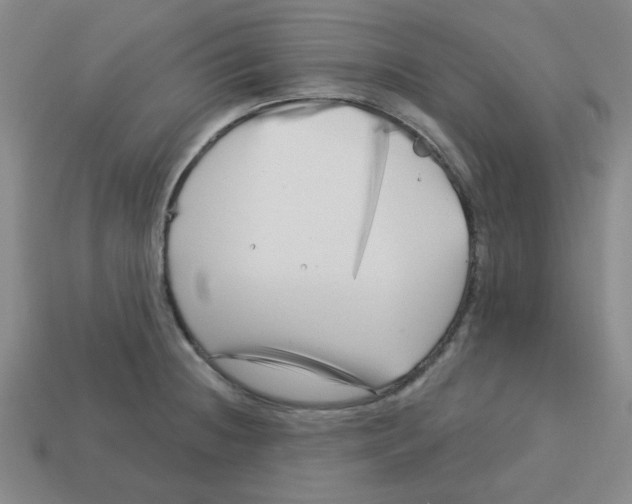 X0000113161236200910021454