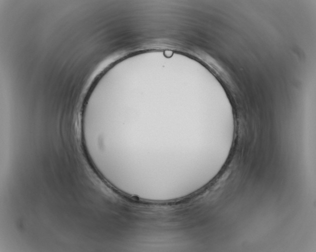 X0000113161238200910021454