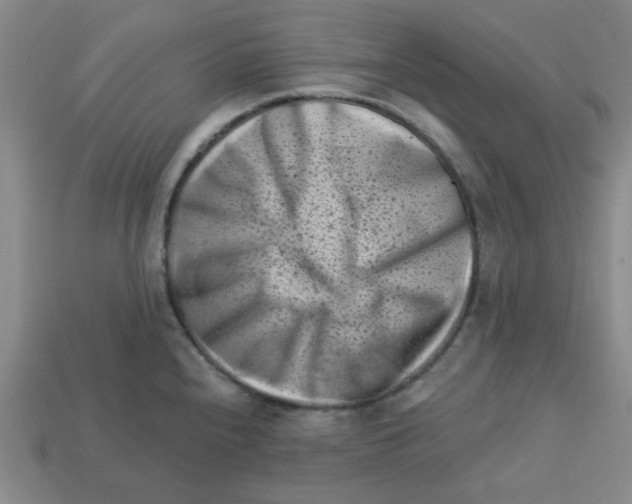 X0000113161240200910021454