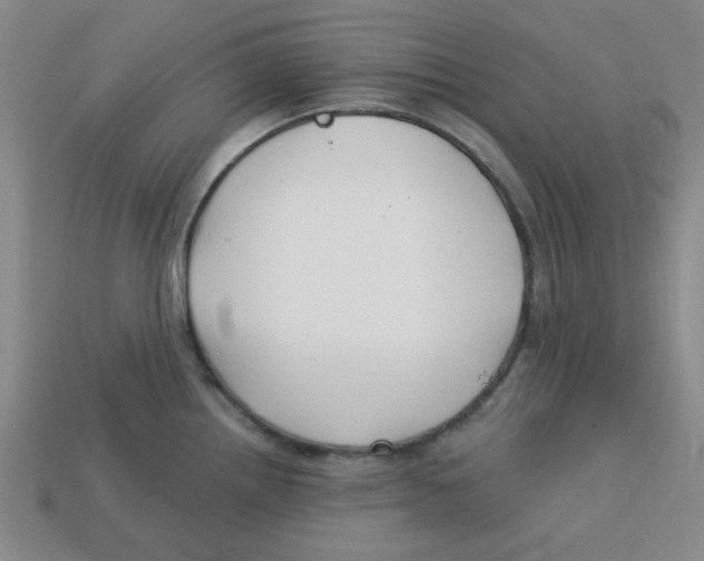 X0000113161242200910021454