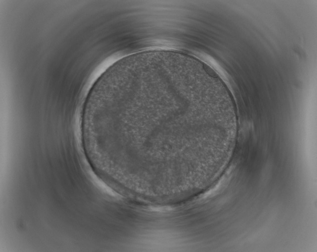 X0000113161243200910021454