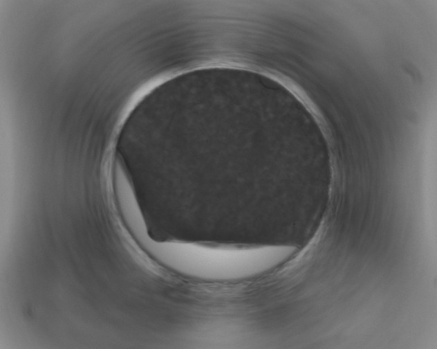 X0000113161246200910021454