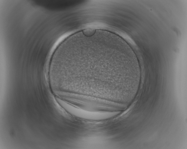 X0000113161248200910021454