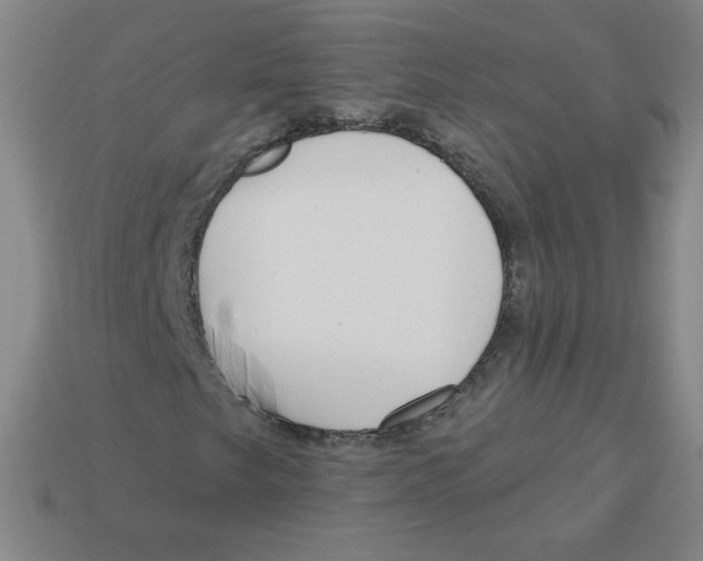 X0000113161249200910021454