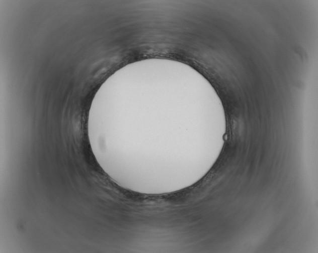 X0000113161250200910021454