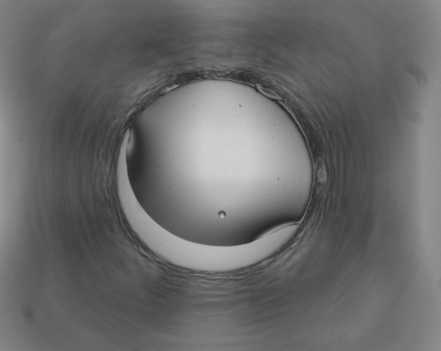 X0000113161252200910021454