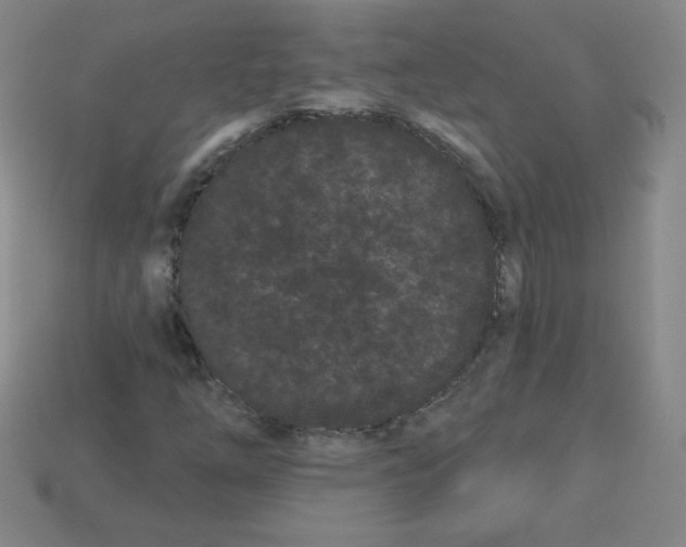 X0000113161254200910021454