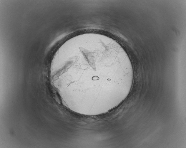 X0000113161255200910021454