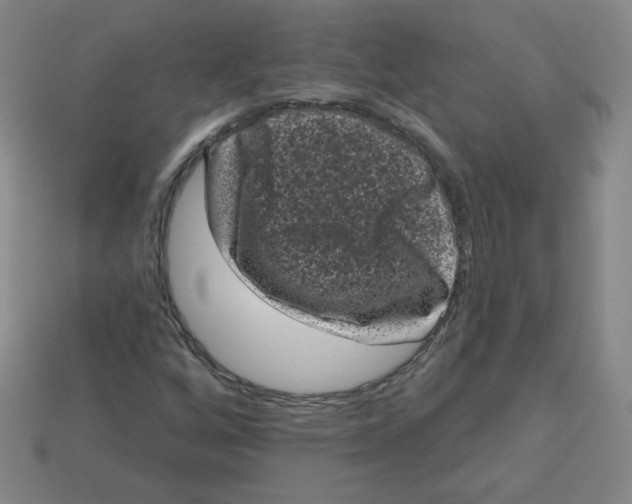 X0000113161256200910021454