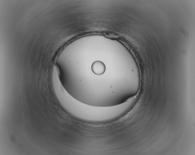 X0000113161257200910021454