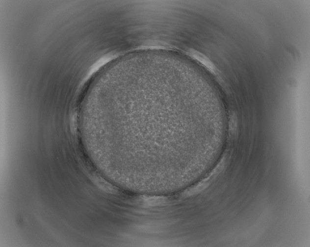 X0000113161258200910021454